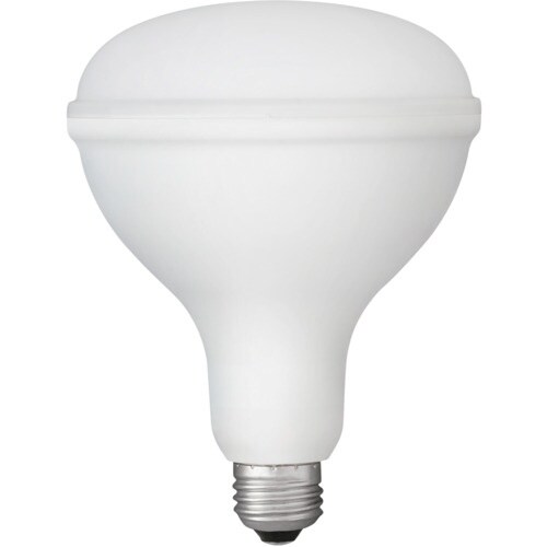 IRIS 107944 PROLEDS LED電球