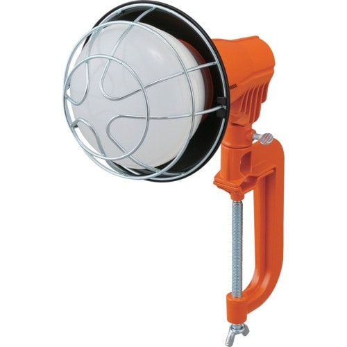 IRIS 107941 PROLEDS LED投光