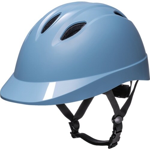 DIC Chalino 保険付き ブルー S/M