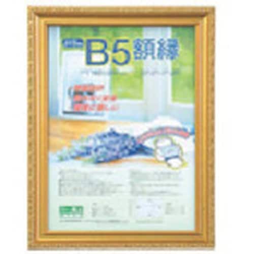 ナカバヤシ 樹脂製軽量額(キンケシ)パック/B5
