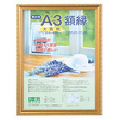 ナカバヤシ 樹脂製軽量額(キンケシ)パック/対象