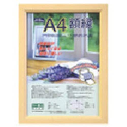 ナカバヤシ 樹脂製軽量額(キジ)パック/A4