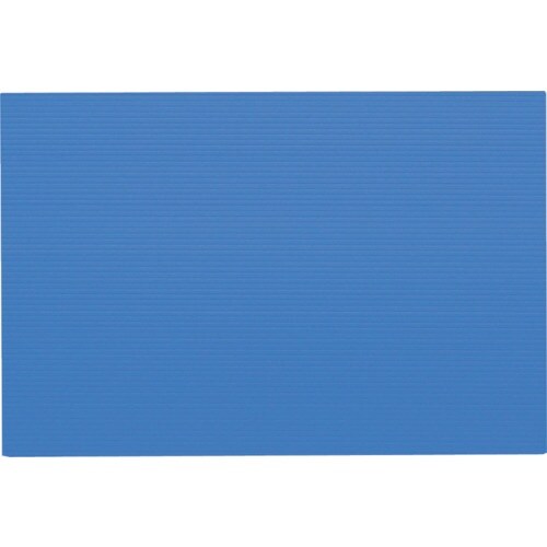 IRIS 262728 プラダン 450X300X