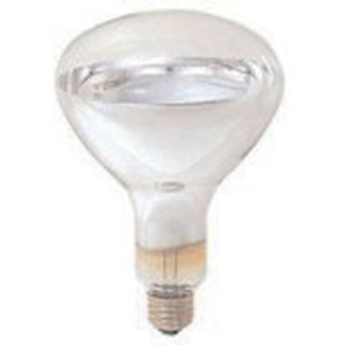 岩崎 赤外線電球220V125W