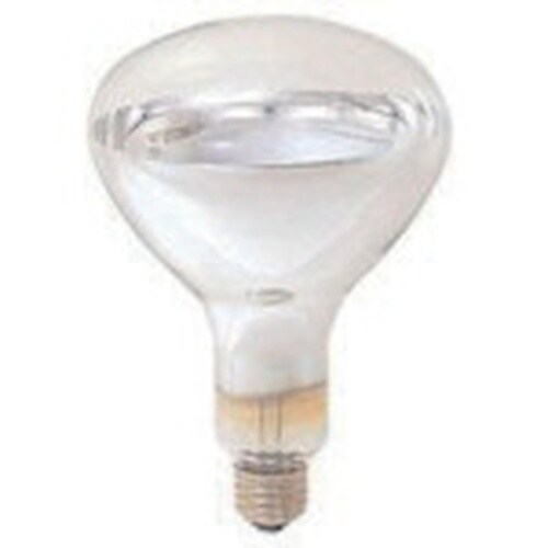 岩崎 赤外線電球220V375W