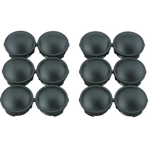 アース ブラックキャップ