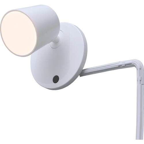 IRIS 253431 LEDスポットライト 電球