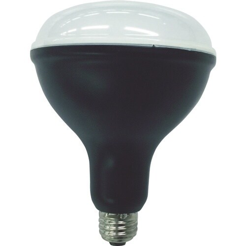 IRIS 568664 PROLEDS LED電球