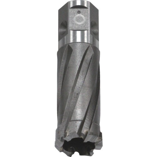 育良 ボアアップカッター(51170)