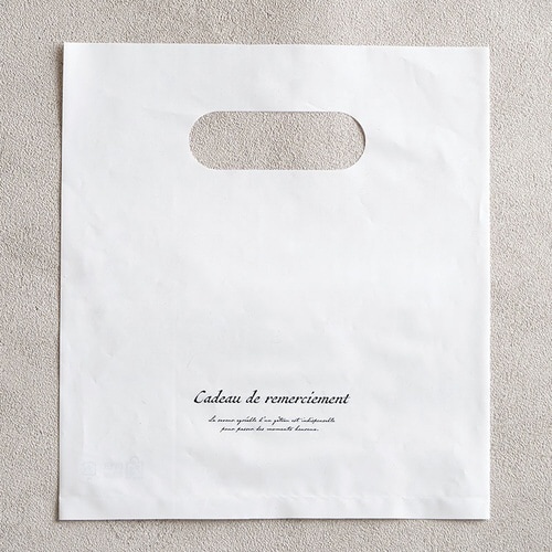 46439 ハンディバッグ スクリプトS