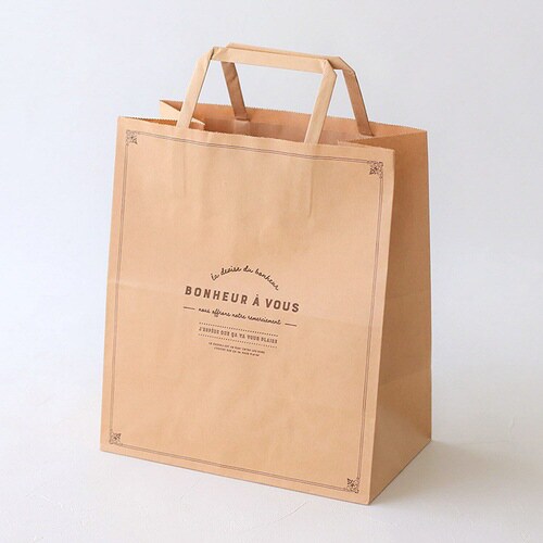 95569 ペーパーバッグボヌールクラフトS2−1
