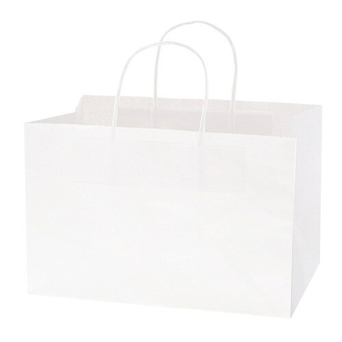 オブロングバッグ 29−19 白無地