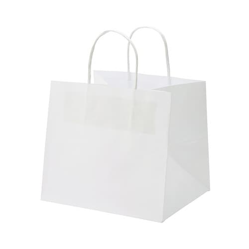 オブロングバッグ 20−18 白無地