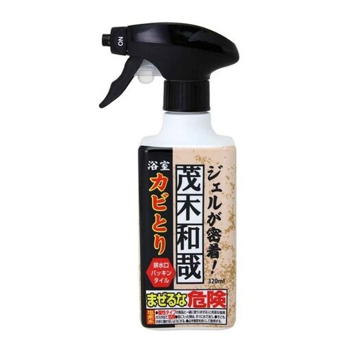 カビ取り 茂木和哉 カビとりジェルスプレー