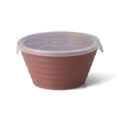 保存容器 抗菌 520ml デリボックス R×2