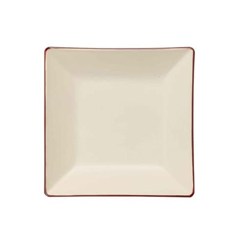 プレート 10cm 小 白渕朱 プラスチック