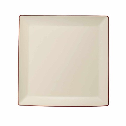 プレート 26cm 大 白渕朱 プラスチック 朱