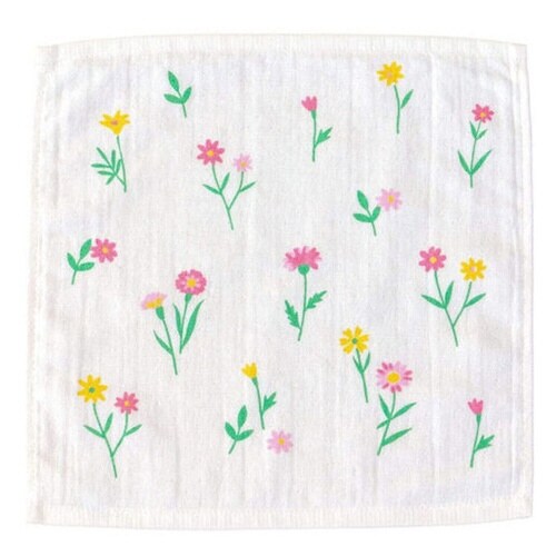 ふきん Ag+ イヤなニオイのしない