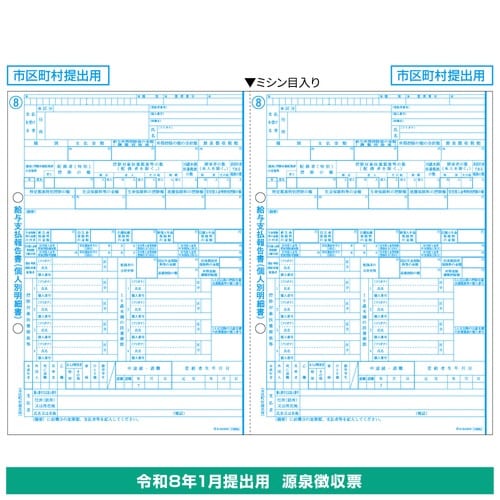 給与支払報告書(個人別明細書) A4 2面