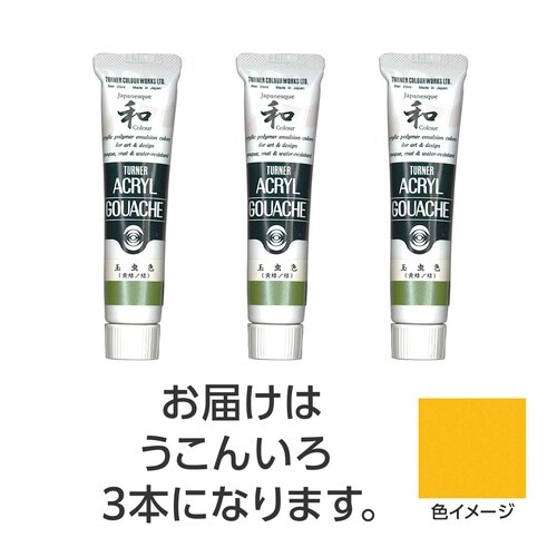 T AG 20ml 312うこんいろ 3個