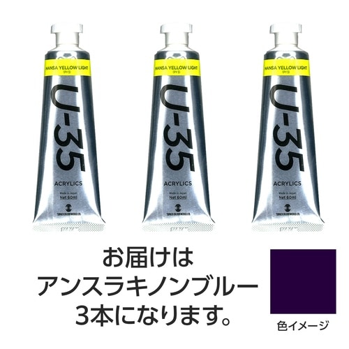 ターナー U35アンスラキノンブルー60ml 3個
