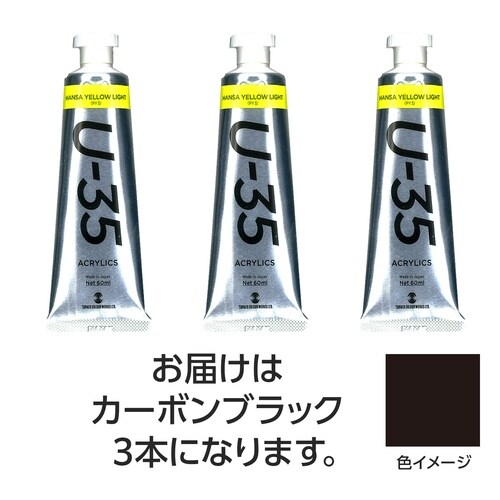 ターナー U35 カーボンブラック60ml 3個