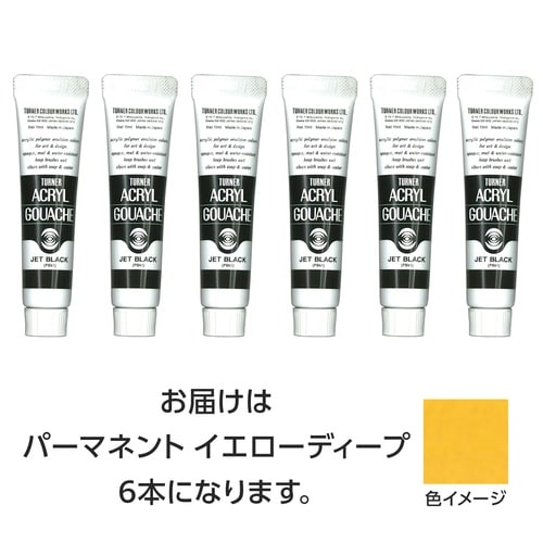 T AG 11ml 12パーマネントYディープ6個