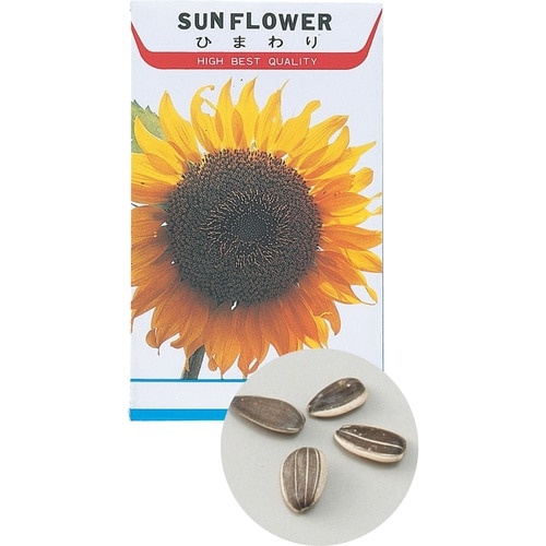 花の種 ヒマワリ