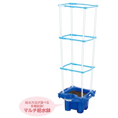 マルチラクラクあさがお虫めがね付Bセット