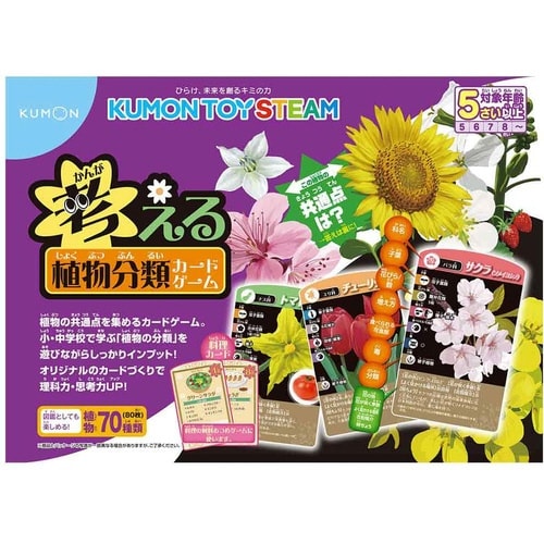 考える植物分類カードゲーム×6
