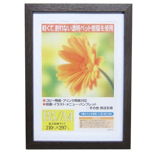 ガーベラDBRB5/A4×10