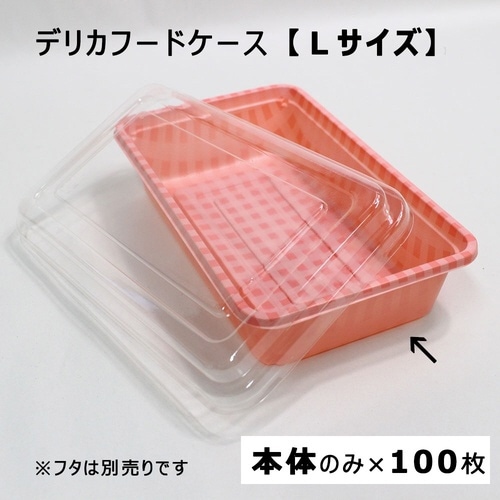 デリカケース L本体×2