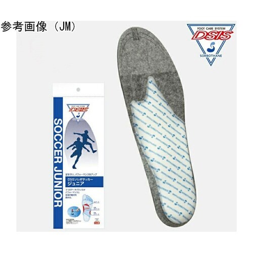 DSISソルボサッカー ジュニア JL