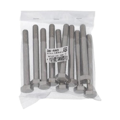 ステン六角中ボルト M10×100 10