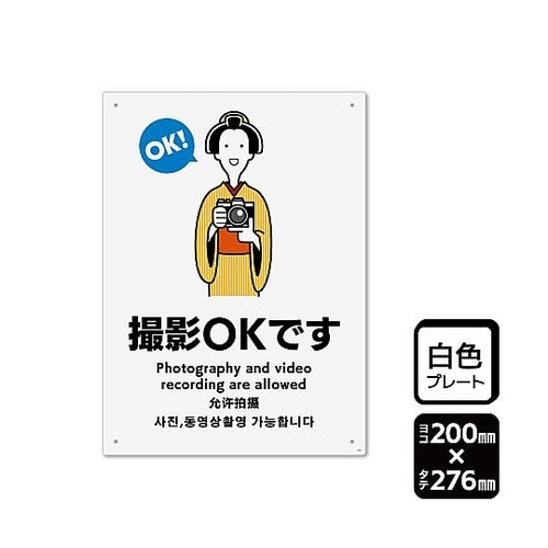 プレート 撮影OKです 1袋(2枚入)