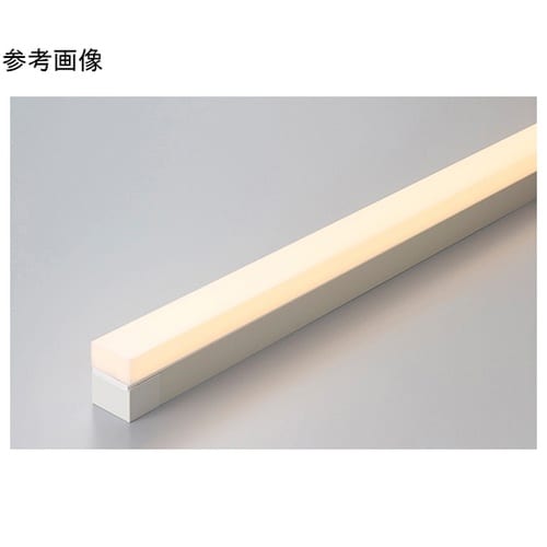 LEDモジュール TM1000WWS−F