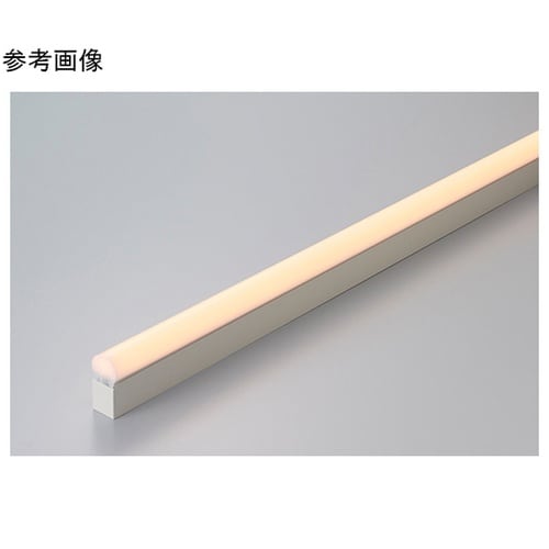 LEDモジュール TR2−1250L30