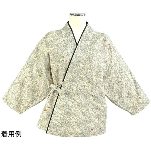 雲井ぼかし草小紋 茶衣着 上 アイボリー