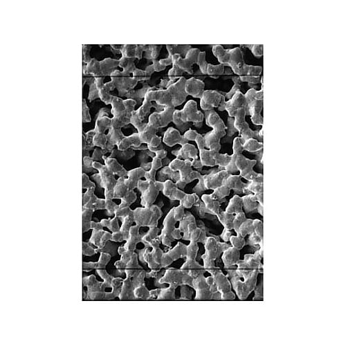 AG4502550 SILVER MEM