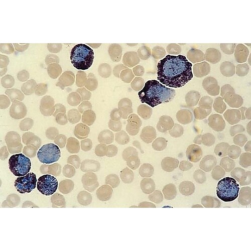 1.08562.0050 アクアテックス