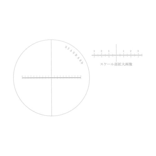 S100 ガラススケール