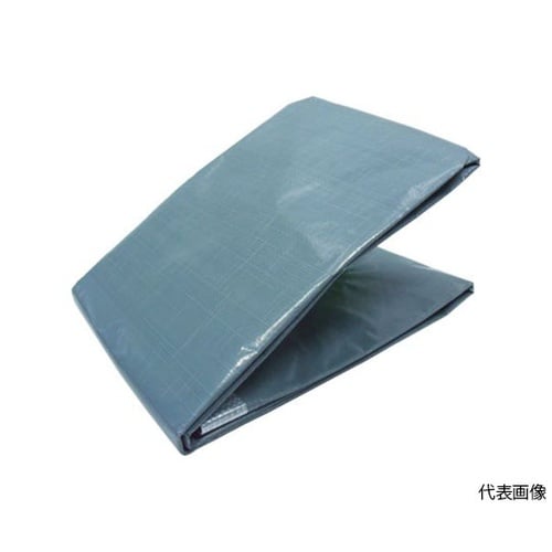 TP13654GY 1年シート