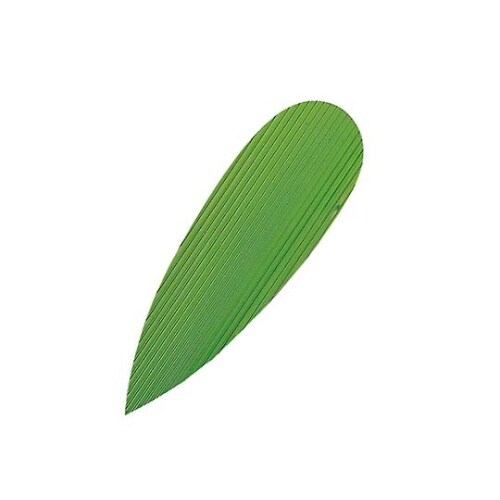 7867300 バラン 笹中