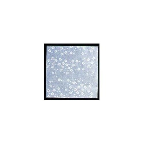 6915300 クリア懐敷 CS−300