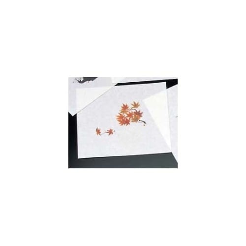 3271800 鮮度保持紙M30−087