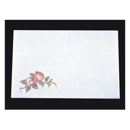 尺三 懐石まっと 抗菌遠赤和紙(100枚