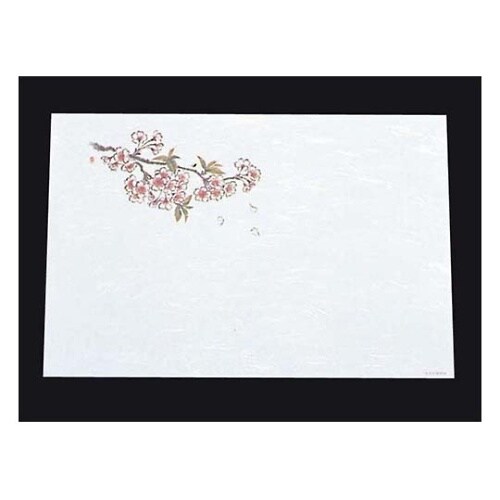 尺三 懐石まっと 抗菌遠赤和紙(100枚