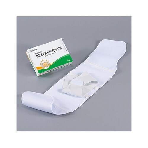 60604 ウエストガードデラックス3L