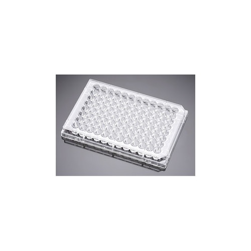 35393696スタックプレト平底フタ付