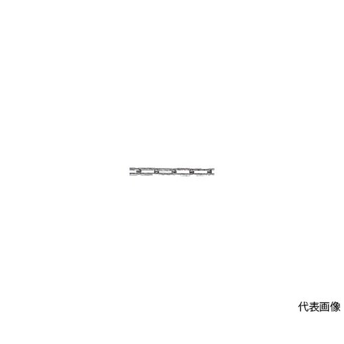 TSC123 ステンレスカットチェーン